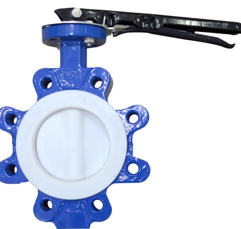 MS PTFE Butterfly Valve in united state