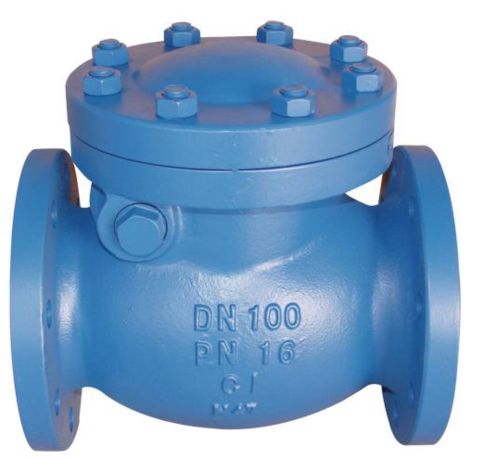 PFA Cast Iron Swing Check Valve in united state