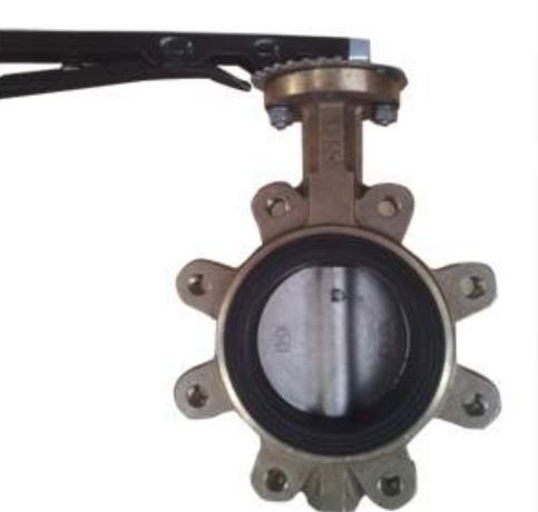 PTFE Lined Bronze Lug Type Butterfly Valve in united state